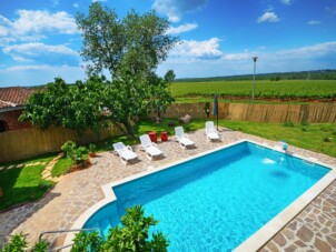 Family friendly house with a swimming pool Basarinka