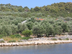 Avskilda lägenheter vid havet Cove Magrovica - Telašćica