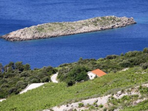 Hus med ett sovrum med terrass och havsutsikt Dingač - Pristranj