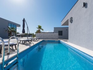 Luxury villa with a swimming pool Vir - 18617