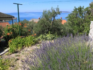 Semesterhus vid havet Miholašćica